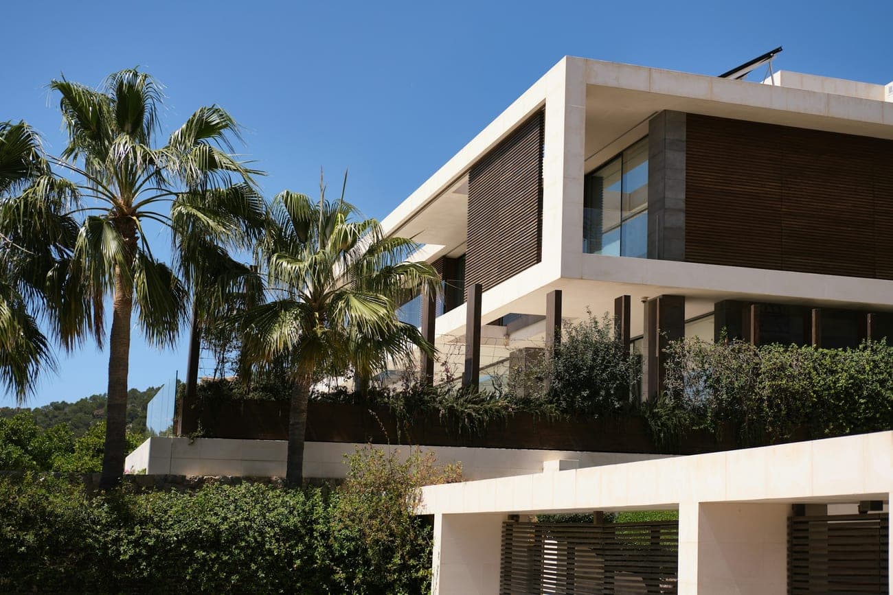 A modern house behind mature palms